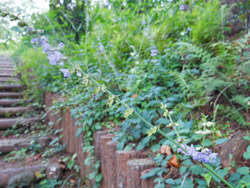 14_0802_a_tamuraso04.jpg
