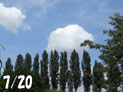 14_0808_park.jpg