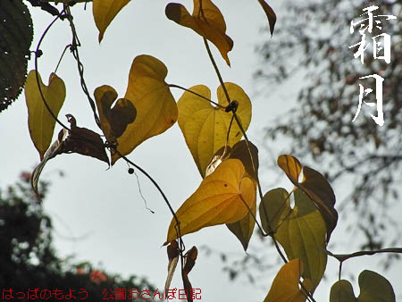 2010_november.jpg